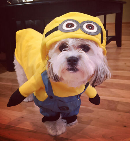 Entry image for Eleanor “Ella”. Clicking this image will show a larger photo