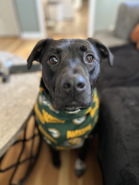 Entry image for Sambuca “Buca” . Clicking this image will show a larger photo