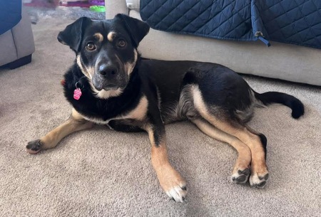 Entry image for Hugh. Clicking this image will show a larger photo