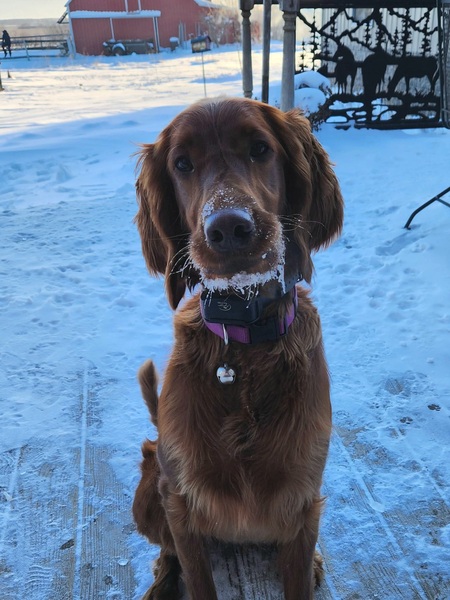 Entry image for Holly. Clicking this image will show a larger photo