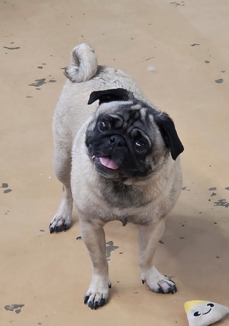 Entry image for Margo. Clicking this image will show a larger photo