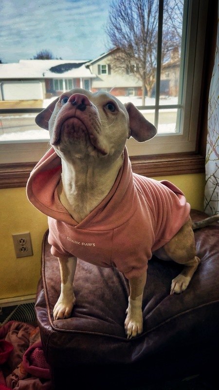 Entry image for Athena. Clicking this image will show a larger photo