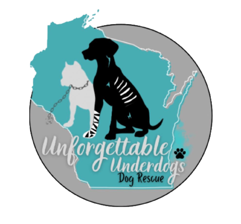 Unforgettable Underdogs