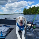 Entry image for Nicholas