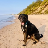 Entry image for Jack