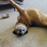 Entry image for Ezra