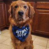 Entry image for Fisher