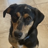 Entry image for Carter