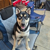 Entry image for Gilly 