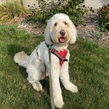 Entry image for Peaches