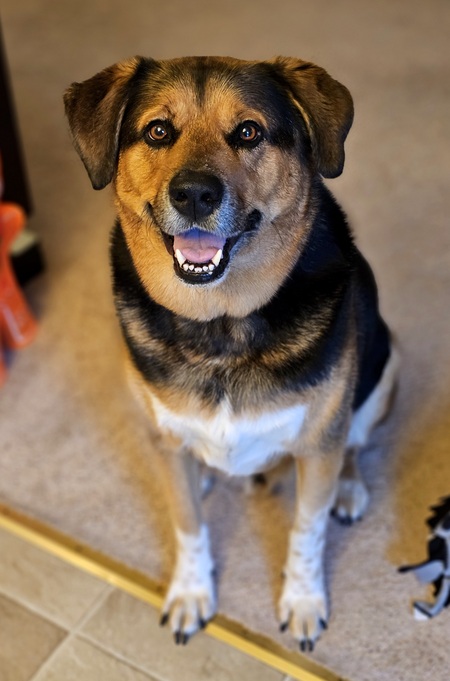 Entry image for Duncan . Clicking this image will show a larger photo