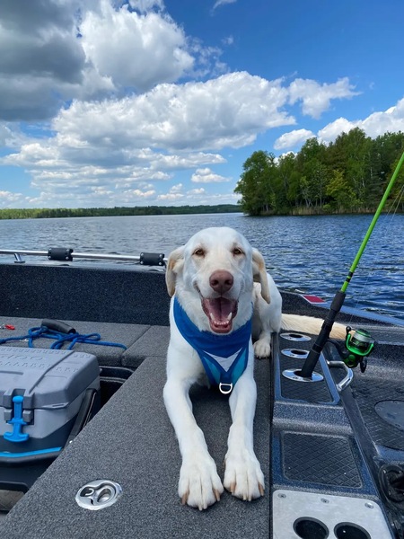 Entry image for Nicholas. Clicking this image will show a larger photo