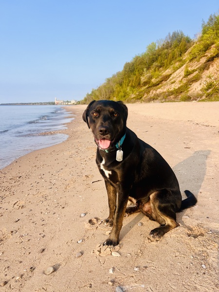 Entry image for Jack. Clicking this image will show a larger photo