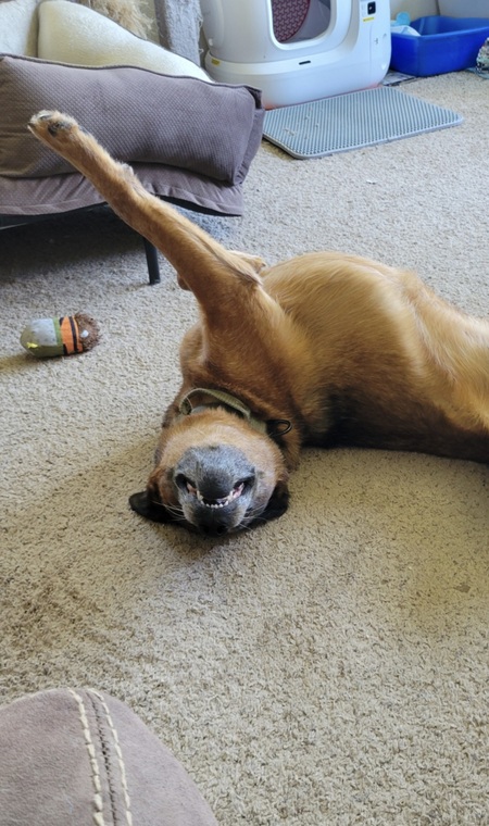 Entry image for Ezra. Clicking this image will show a larger photo