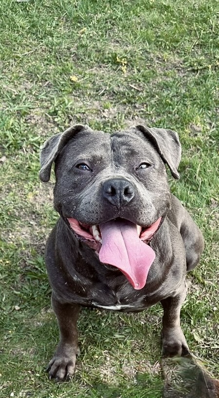 Entry image for Lady. Clicking this image will show a larger photo