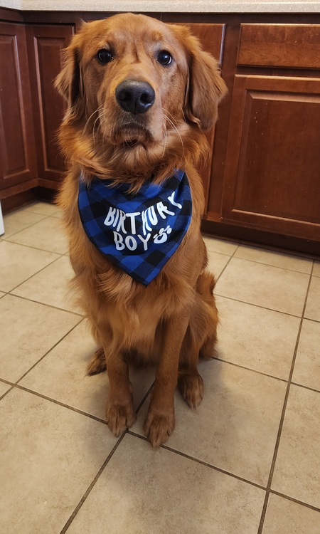 Entry image for Fisher. Clicking this image will show a larger photo