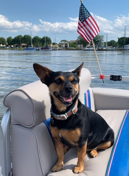 Entry image for Ocho. Clicking this image will show a larger photo