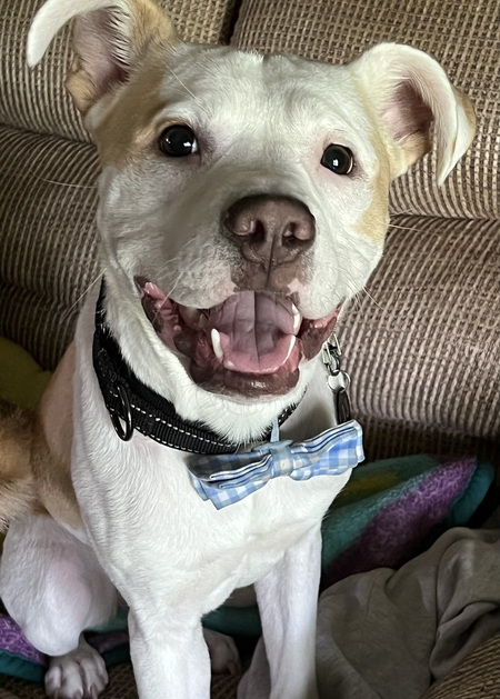 Entry image for JJ. Clicking this image will show a larger photo