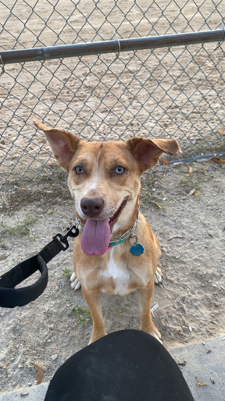 Entry image for Rue. Clicking this image will show a larger photo