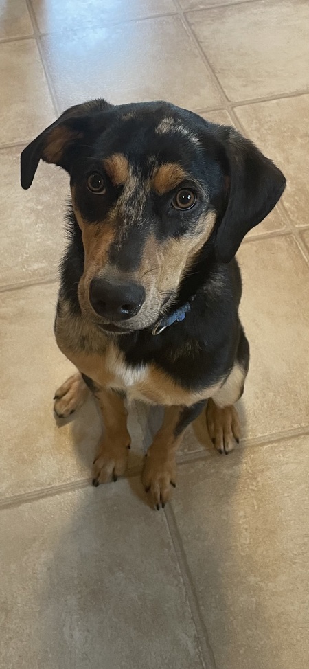 Entry image for Carter. Clicking this image will show a larger photo