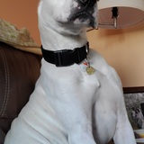 Entry image for Knox