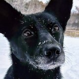 Entry image for Skittles 