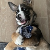 Entry image for Jett