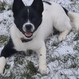 Entry image for Zest