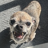 Entry image for Loki