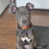 Entry image for Aiko