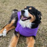 Entry image for Abbie