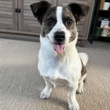 Entry image for Kaapi (GeeGee)