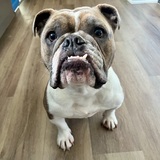 Entry image for Lulu