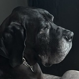 Entry image for Rama