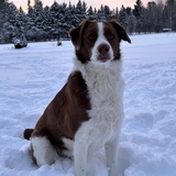 Entry image for ABBY