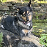 Entry image for Banzai 