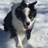 Entry image for Thörsten