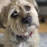 Entry image for Robbie.