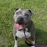 Entry image for Bentley 