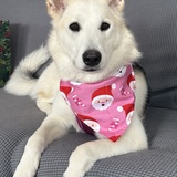 Entry image for Sprinkles