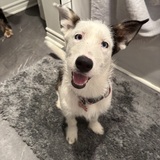 Entry image for Louise 