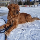 Entry image for Maverick