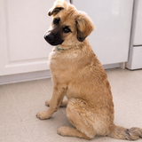 Entry image for Sport