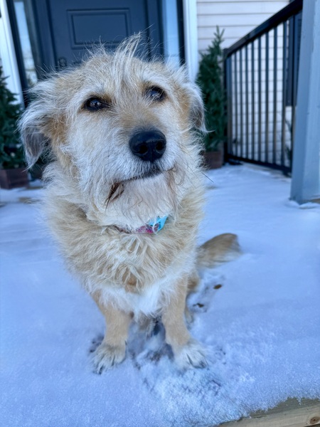 Entry image for Clementine . Clicking this image will show a larger photo