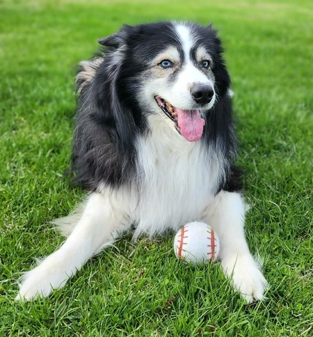 Entry image for Max. Clicking this image will show a larger photo