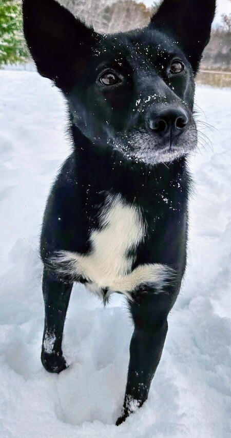 Entry image for Skittles . Clicking this image will show a larger photo