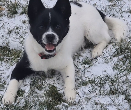 Entry image for Zest. Clicking this image will show a larger photo