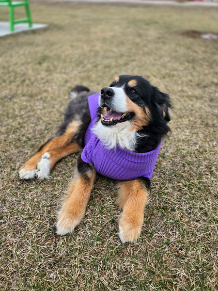 Entry image for Abbie. Clicking this image will show a larger photo