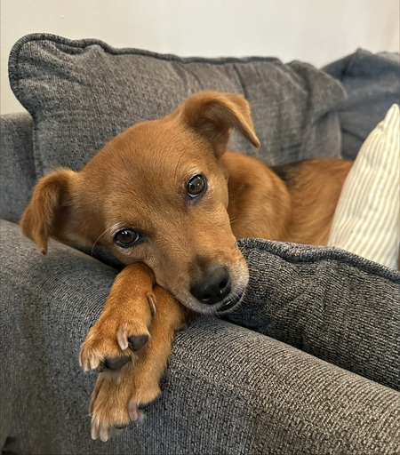 Entry image for Tod. Clicking this image will show a larger photo