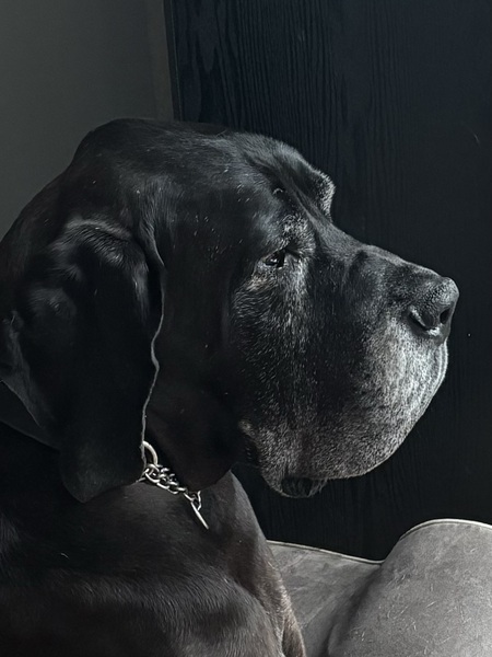 Entry image for Rama. Clicking this image will show a larger photo